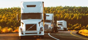 pexels-quintin-gellar-2199293 (1)